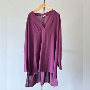 Terra & Sky Womens Plus Size V-Neck Long Sleeve Purple Tunic
Blouse Size: 2X